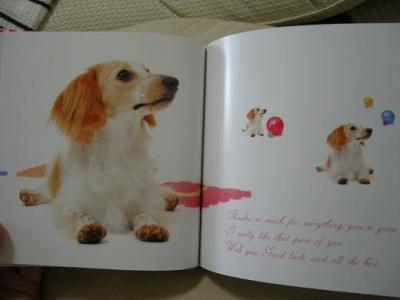 DSCN4708.jpg