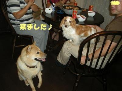 DSCN4852.jpg