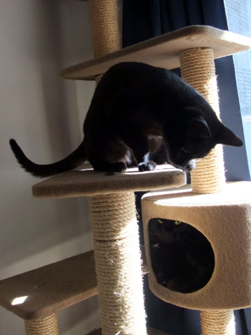 09110511.jpg