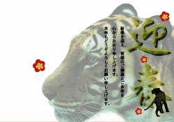 tora10b.jpeg