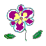 花4