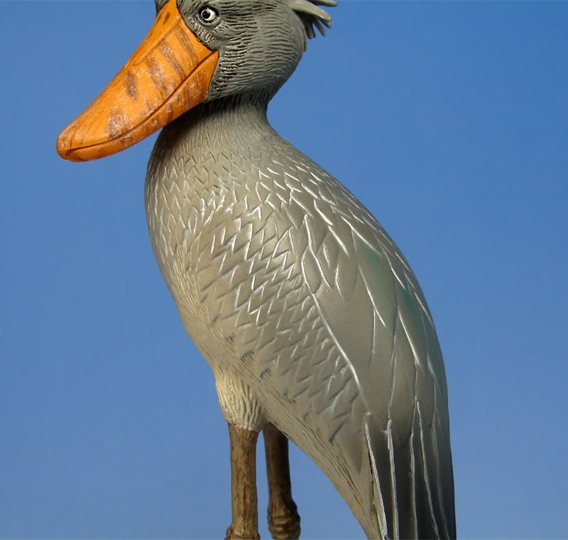 phatc_balaeniceps_rex_09.jpg