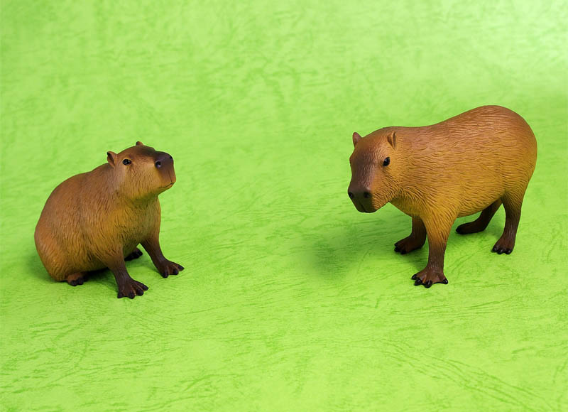 phatc_capybara_02.jpg