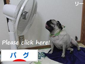 ポチ(屮゚Д゚)屮ありがとう
