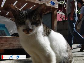 ポチ(屮゚Д゚)屮ありがとう