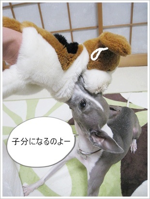 子分になるのよ