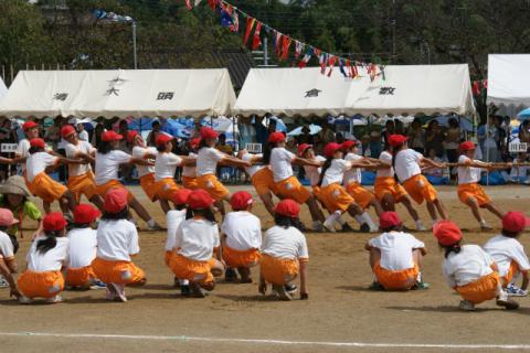 DSC01509.jpg
