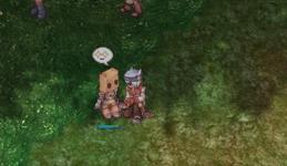 ROB_1030ftmmおひろめ。