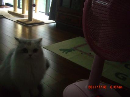 CIMG0214.jpg
