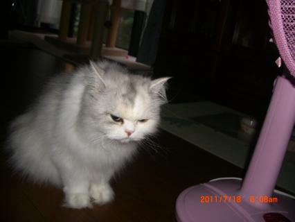 CIMG0216.jpg