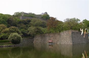 20110514_5marugame.jpg