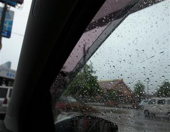 20110529_poloside.jpg