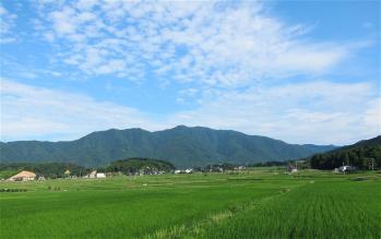 20110709_2.jpg