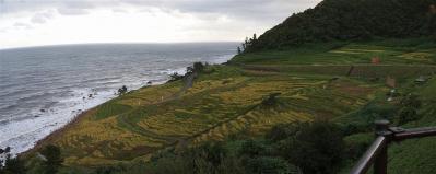 20110923_senmai.jpg