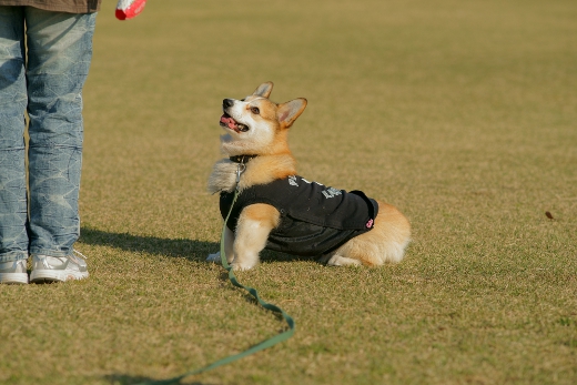 20110407_05.jpg