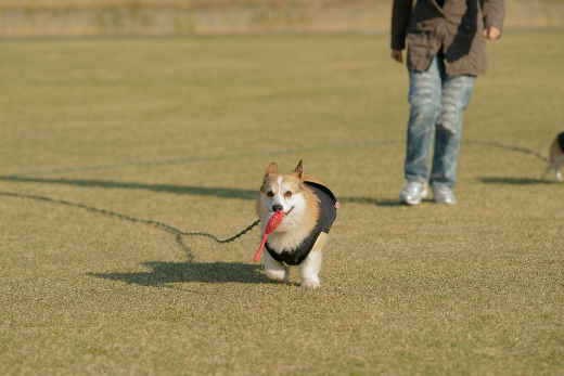 20110407_06.jpg