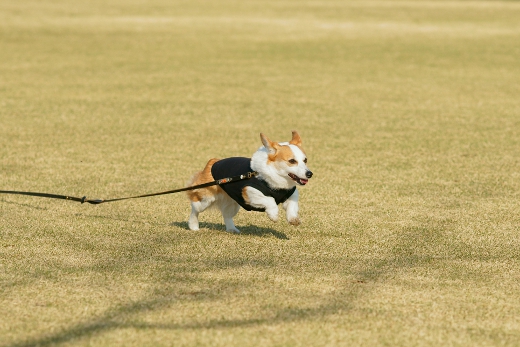 20110407_07.jpg
