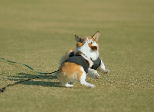 20110407_08.jpg