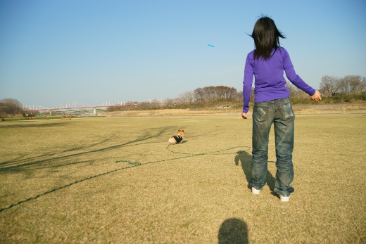 20110407_10.jpg