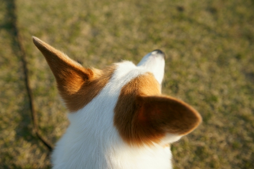 20110407_14.jpg