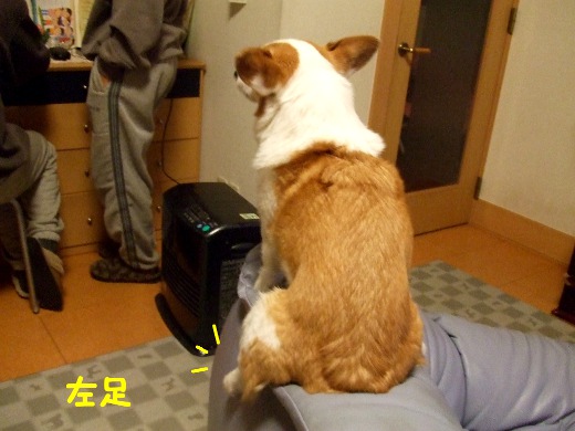 20110512_04.jpg