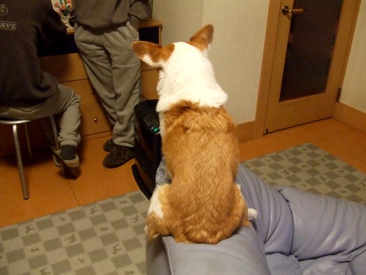 20110512_05.jpg