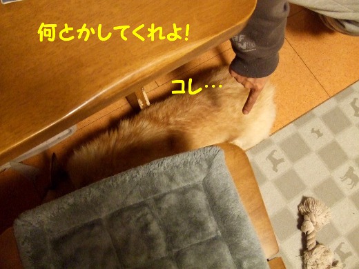 20110512_07.jpg