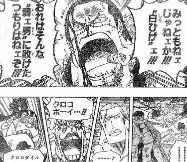 One Piece ワンピース 第563話 心臓一つ 人間一人 の簡易感想 もの日々