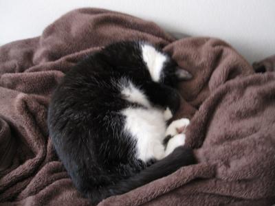 IMG_2369_convert_20110529202312.jpg