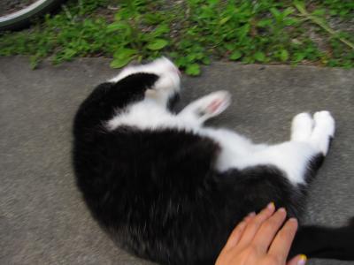 IMG_2406_convert_20110527205544.jpg