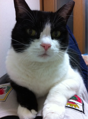 iphone_20111027210305.jpg