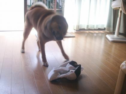 いやぁ!