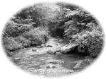 20100626no1.jpg