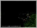 20100626no2.jpg