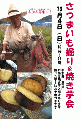 091004サツマイモ掘り