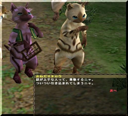 猫・おねだりタロウup