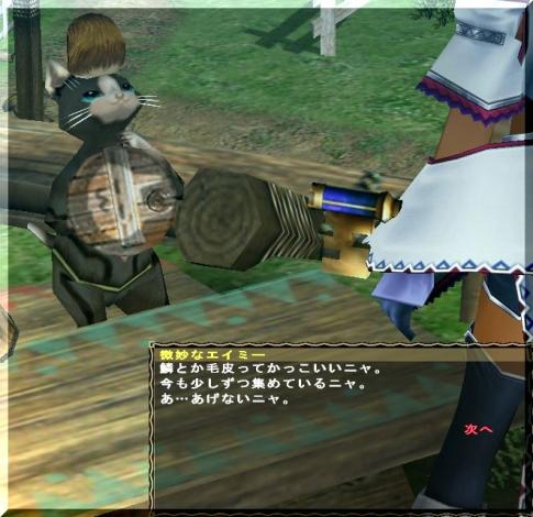 猫・微妙なエイミーup