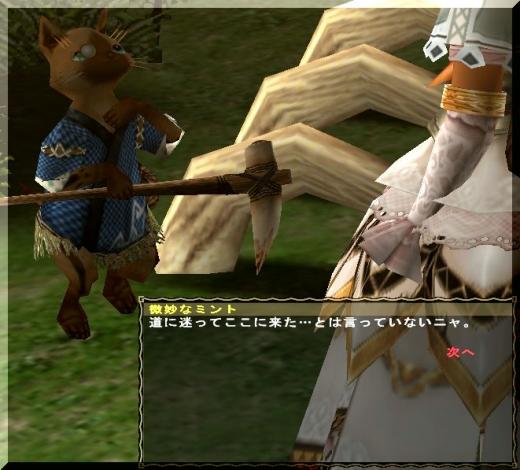 猫・微妙なミントup