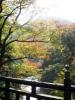 こおろぎ橋と紅葉。