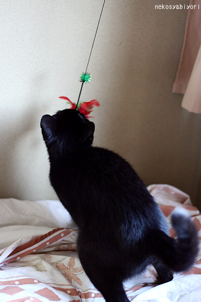 091125_4857.jpg