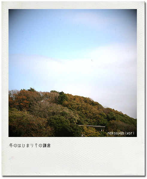 091126_5066_effected.jpg