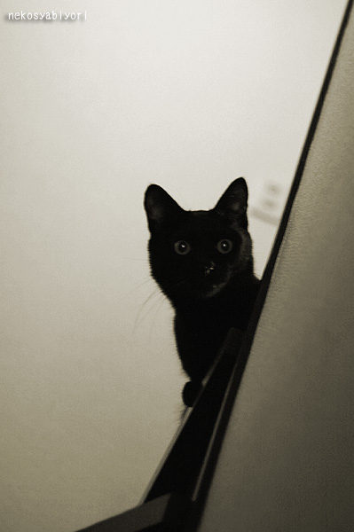 100114_0012.jpg