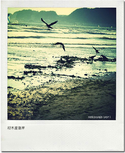 IMG_9803_effected.jpg