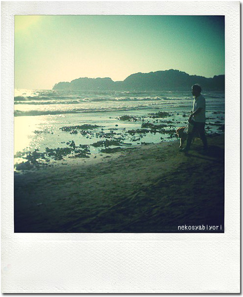iIMG_0502_effected.jpg