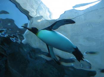 IMG_2225.jpg