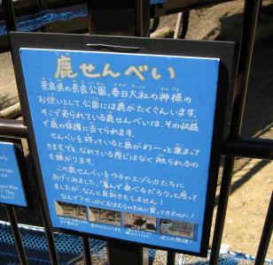 IMG_2241.jpg