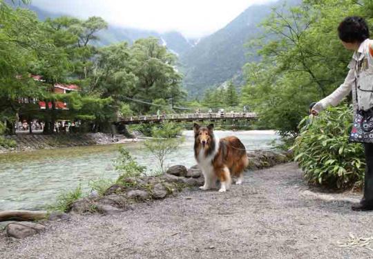 河童橋今