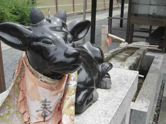 狛犬に見える