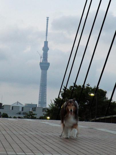 おいで~