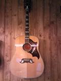 Gibson Dove